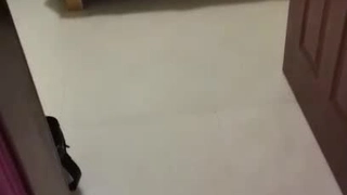 中国精品久久久久久久久久久-小鸟酱与小果酱写真